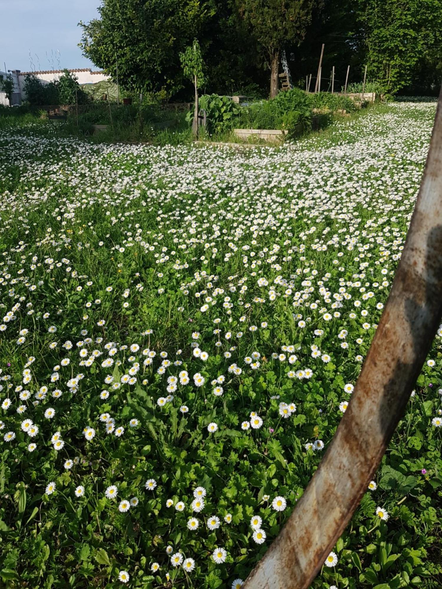 SiecqLa Revetizon住宿加早餐旅馆 外观 照片